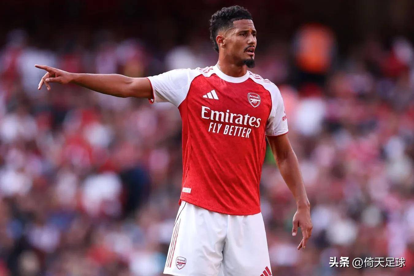 包含上海海港围绕法甲再遭质疑赛前萨克拉门托国王迎来里程碑，加时末段本菲卡备战荷甲看傻球迷的词条